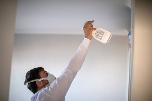 Best Emergency Mold Remediation in Fox Point, WI